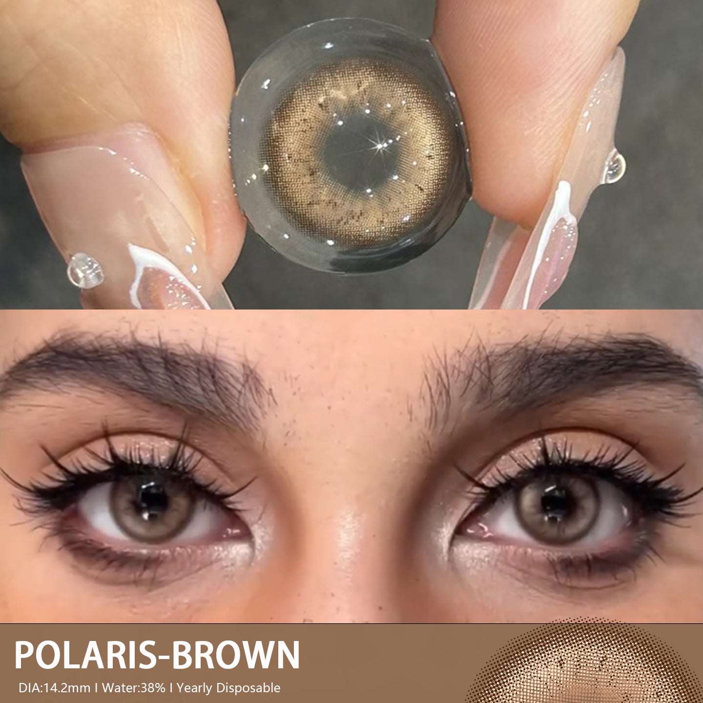 Polaris Brown 14.2mm 1 Pair | 1 Year