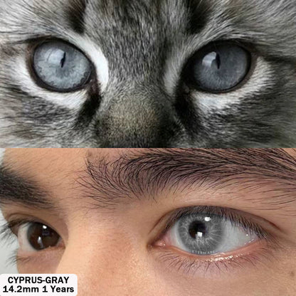 Cyprus Gray 14.2mm 1 Pair | 1 Year