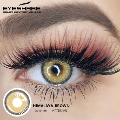 Himalaya Brown 14.0mm 1 Pair | 1 Year