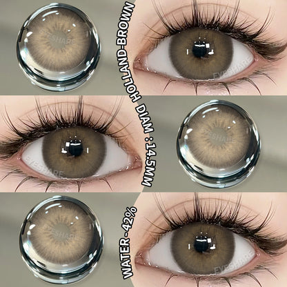 Holland Brown 14.5mm | 1 Day, 10 Pcs