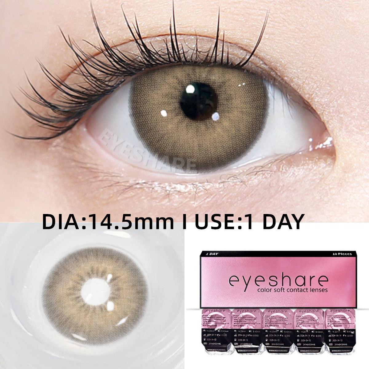 Holland Brown 14.5mm | 1 Day, 10 Pcs