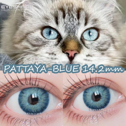(-1.00~-8.00)PATTAYA blue 14.2mm 1 Pair | 1 Year