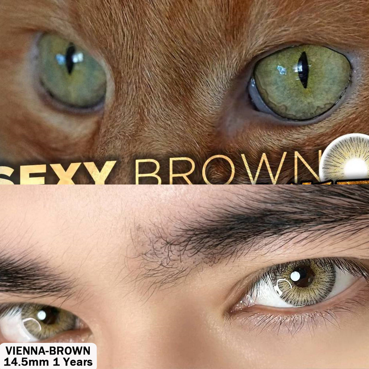 Vienna Brown 14.5mm 1 Pair | 1 Year