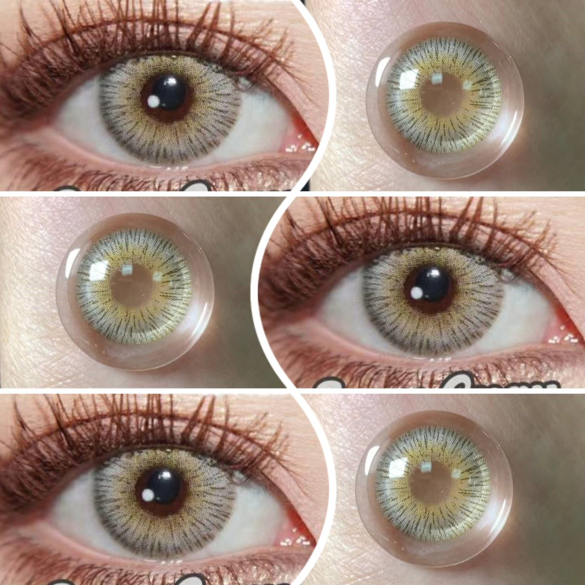 Vienna Gray 14.5mm 1 Pair | 1 Year